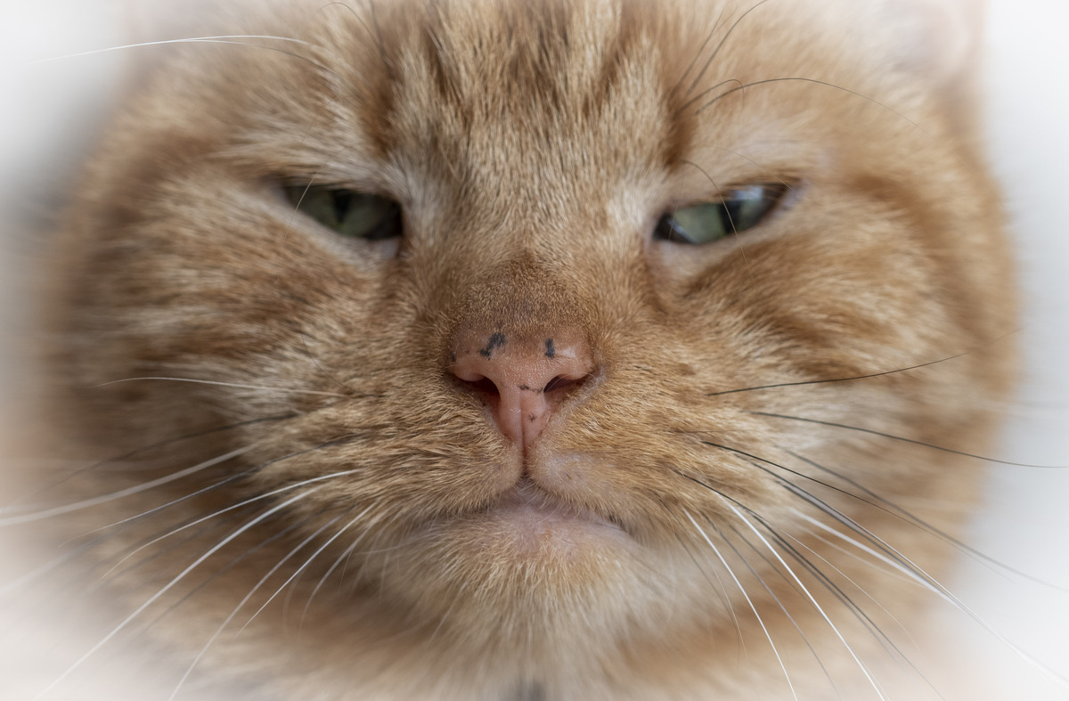 I have washed - they're freckles!